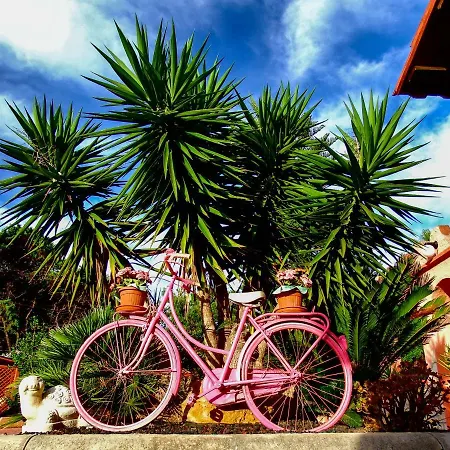 Bed and Breakfast B&B Cala Dolce